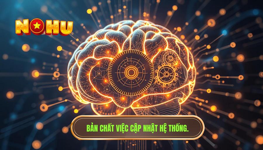 Hiểu rõ bản chất của việc cập nhật hệ thống
